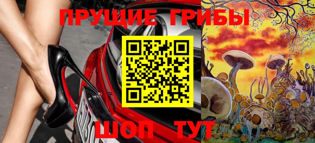 Галлюциногенные грибы Psilocybe  Псилоцибиновые грибы GOLDEN TEACHER  Вход с VPN  Лесной 