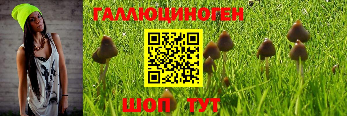 Псилоцибиновые грибы Magic Shrooms Лесной