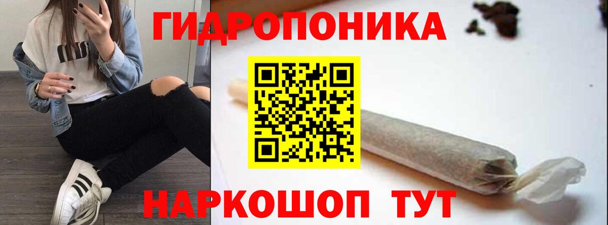 Конопля индика  Конопля ГИДРОПОН  Лесной  Бошки марихуана THC 21%  Шишки марихуана THC 21%  Вход с VPN 